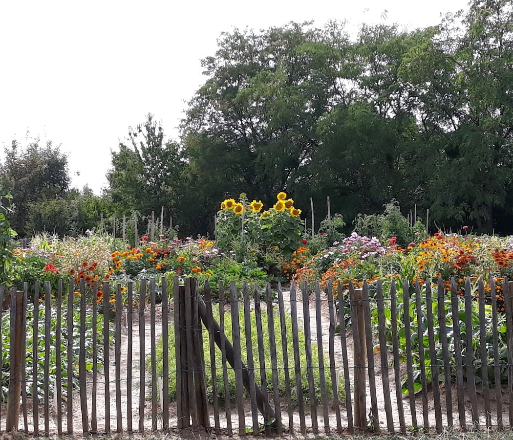 Potager à Partager de Neuilly-Plaisance 2
